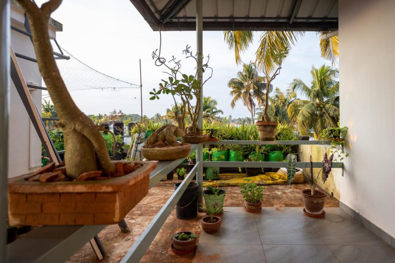 Homested Homestay Fort Kochi エクステリア 写真